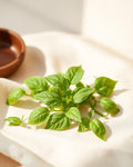 Tulsi Dhoop Batti